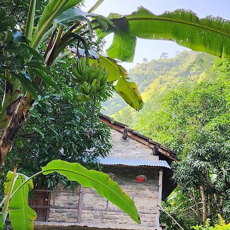Hobo Huts By The Riverside Panuānaula 외부 사진