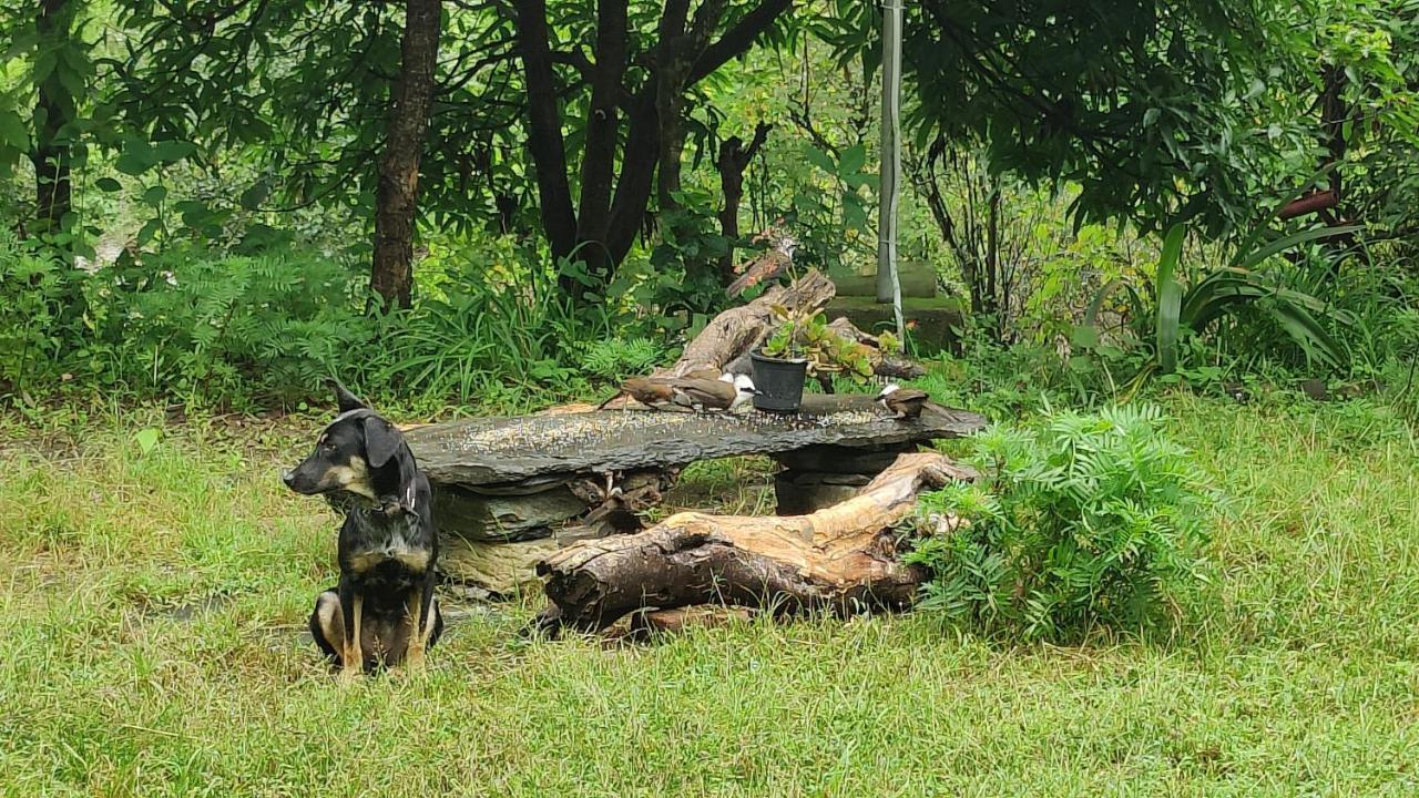 Hobo Huts By The Riverside Panuānaula 외부 사진