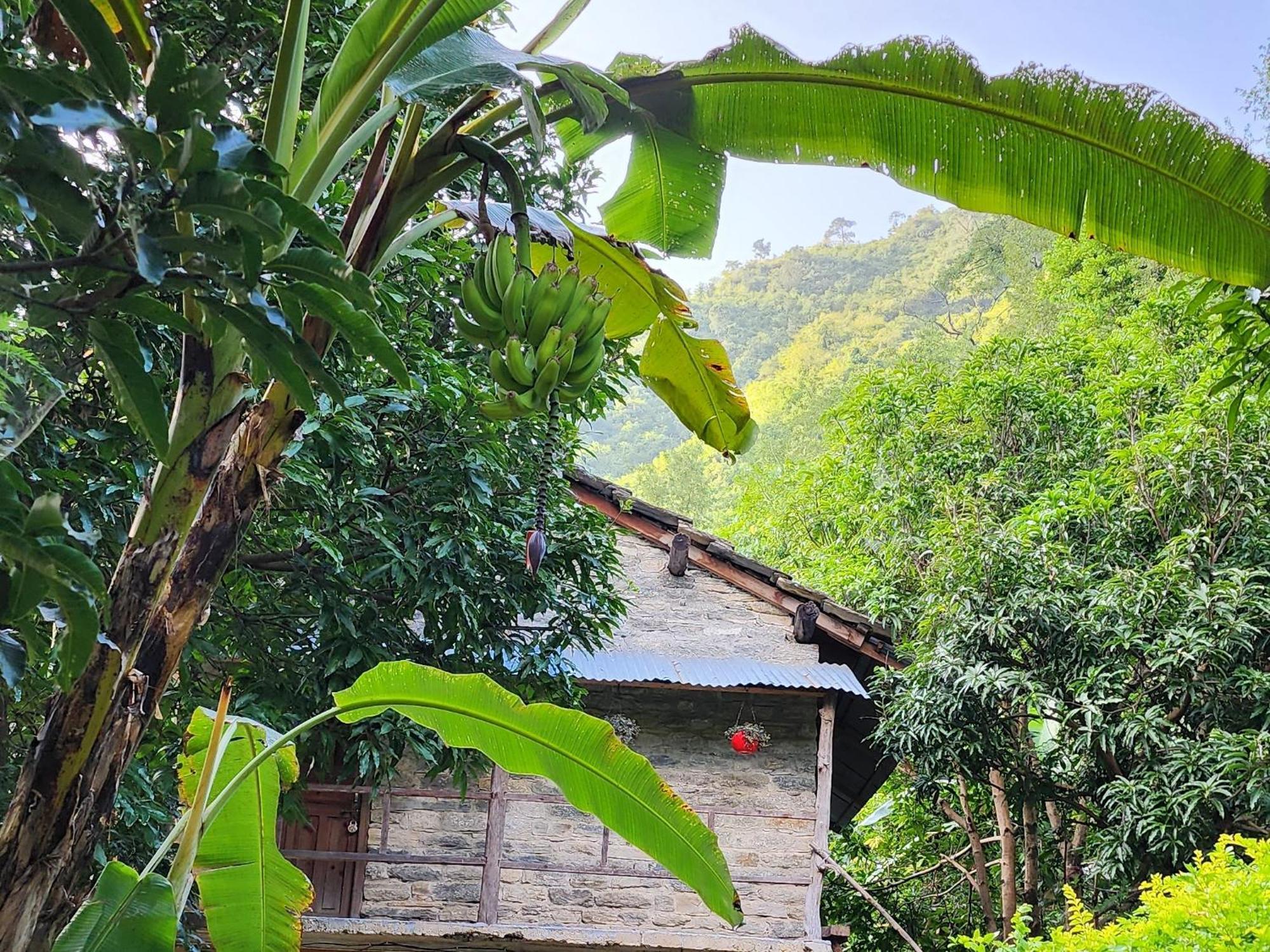 Hobo Huts By The Riverside Panuānaula 외부 사진